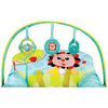 MASTELA NB TO TODDLER ROCKER